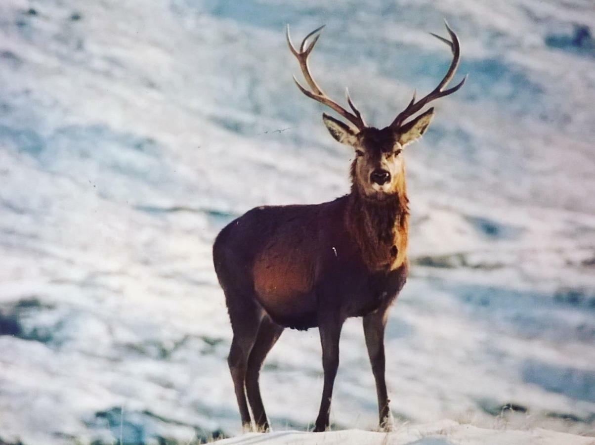 Loch Ness B And B Inverness Esterno foto