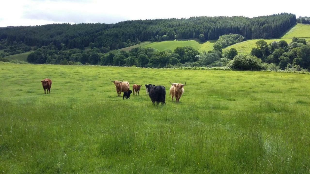 Loch Ness B And B Inverness Esterno foto